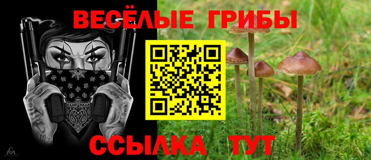 Нижнекамск  Псилоцибиновые грибы Cubensis  Вход с VPN 