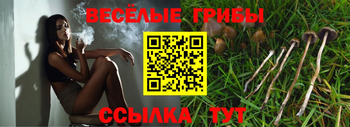 Галлюциногенные грибы прущие грибы Нижнекамск